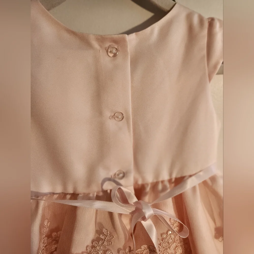 EUC Rare Editions Pink Lace Formal Dress Girls Size 18 months